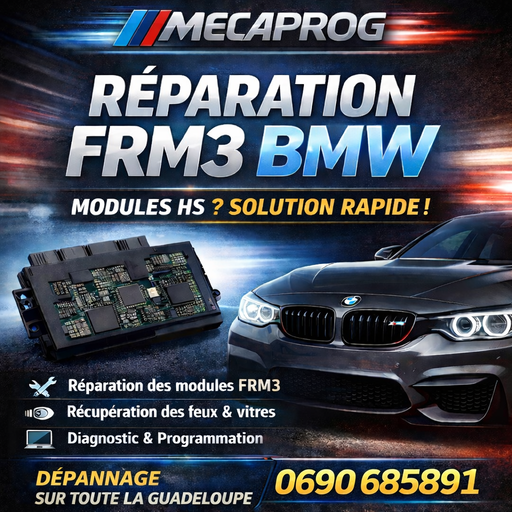 Réparation FRM BMW Mini Guadeloupe