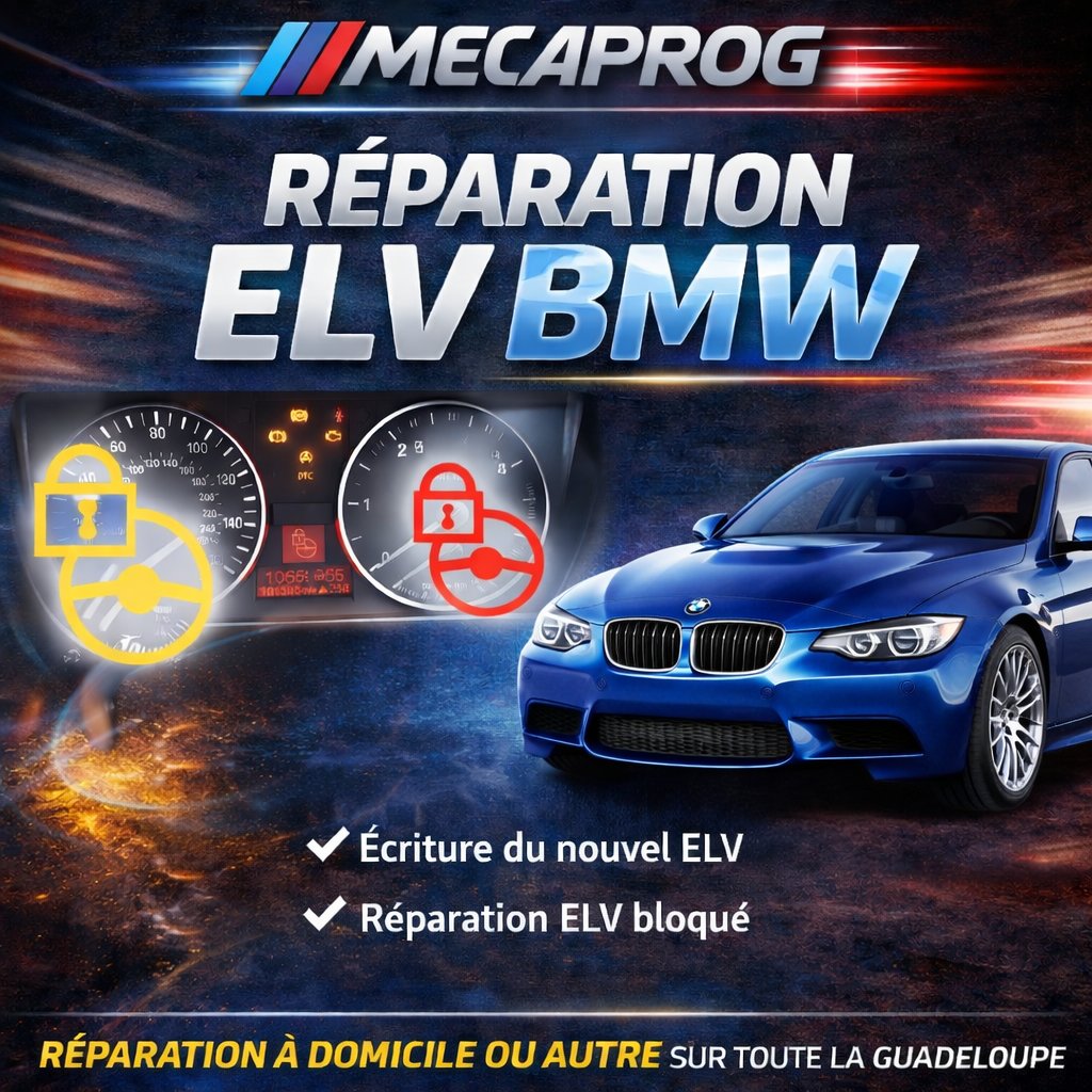 Réparation ELV BMW Mini Guadeloupe