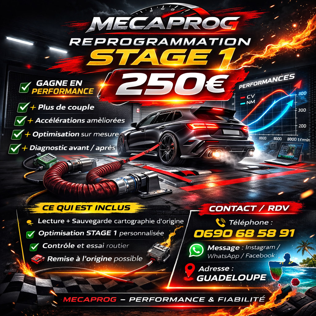 Reprogrammation moteur Guadeloupe